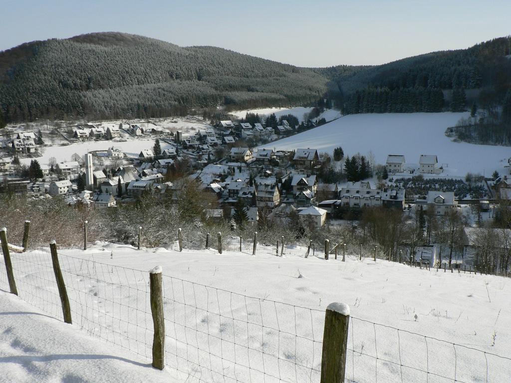 Landhaus Silberberg Winterberg Exterior photo
